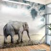 wall graphics tampa fl